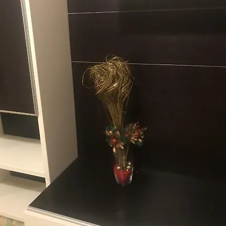 Apartmán Viale Giacomo Leopardi